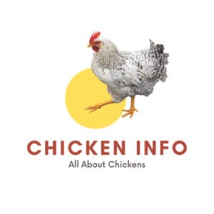 chicken info logo